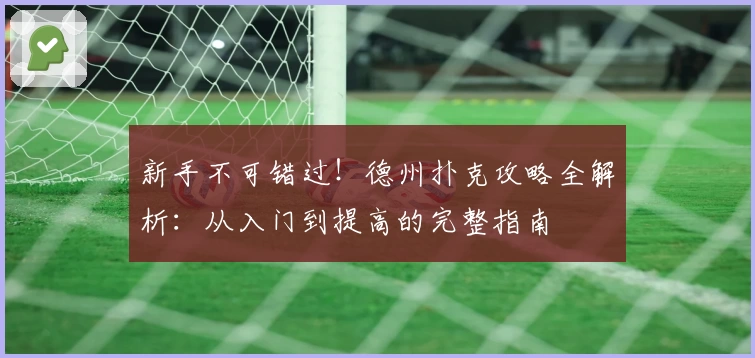 新手不可错过！德州扑克攻略全解析：从入门到提高的完整指南