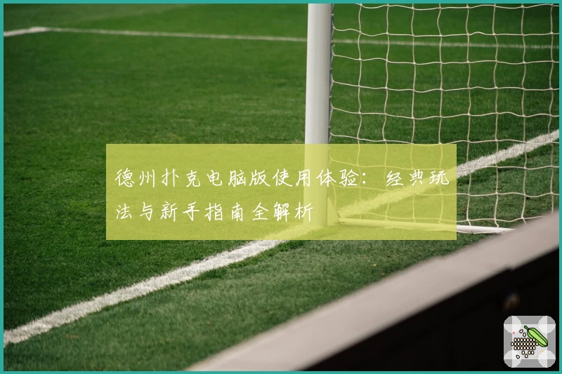 德州扑克电脑版使用体验：经典玩法与新手指南全解析