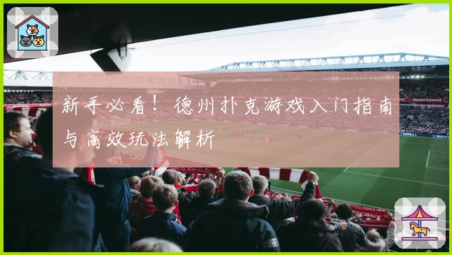 新手必看！德州扑克游戏入门指南与高效玩法解析