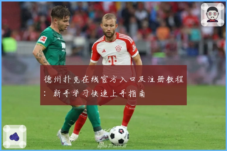 德州扑克在线官方入口及注册教程：新手学习快速上手指南