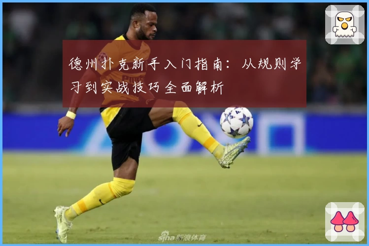 德州扑克新手入门指南：从规则学习到实战技巧全面解析