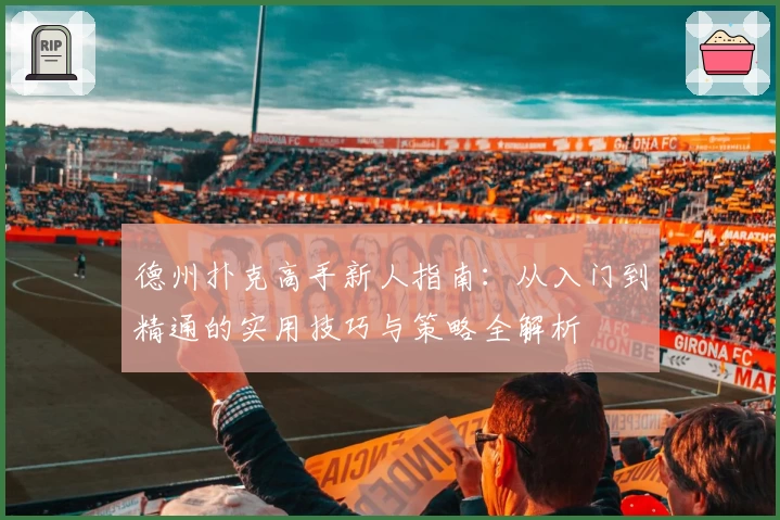 德州扑克高手新人指南:从入门到精通的实用技巧与策略全解析