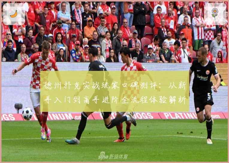 德州扑克实战玩家口碑测评:从新手入门到高手进阶全流程体验解析